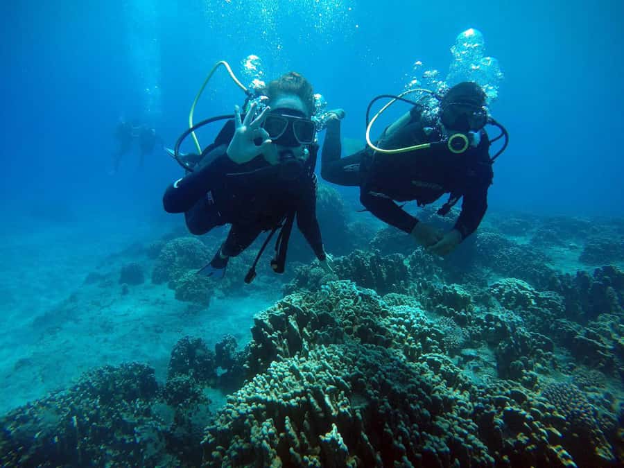 Easter Island: Tropical Diving - Starting at Hanga Piko