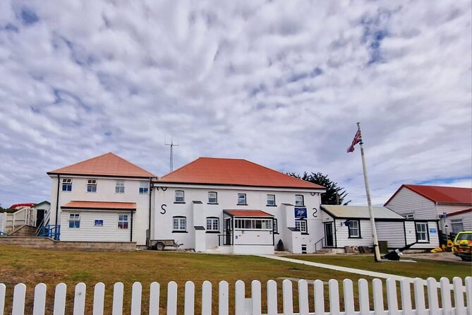Falkland Islands Shared Tour Sightseeing with Penguins - A moving introduction to Stanley