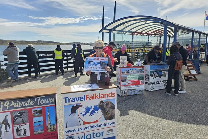 Falkland Islands Shared Tour Sightseeing with Penguins - Timing matters when you arrive by cruise tender