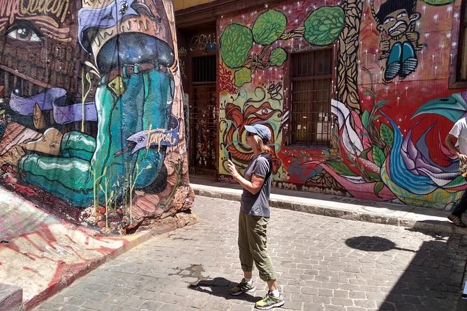 Famous Valparaíso! Premium Walking Tour with a Native Guide - Why this walk is a good introduction to Valparaíso