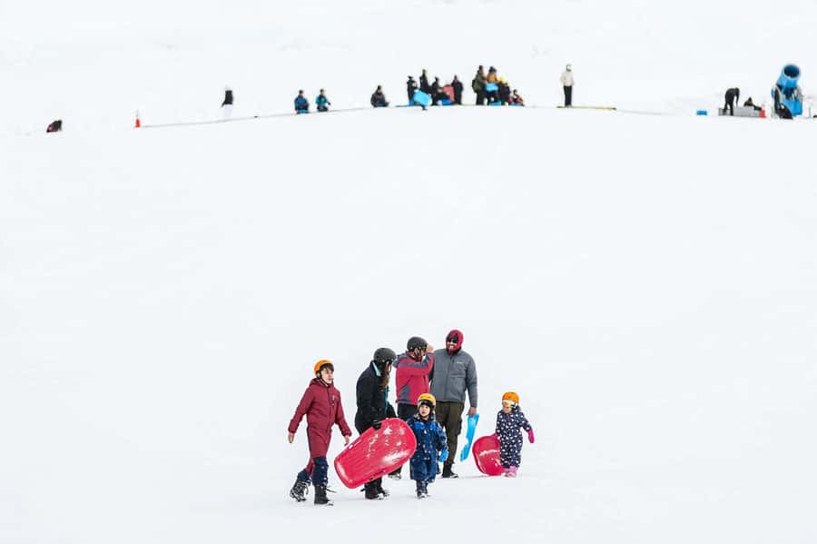 Farellones Park Tour: Snow Adventures - Should you book the Farellones Park tour?