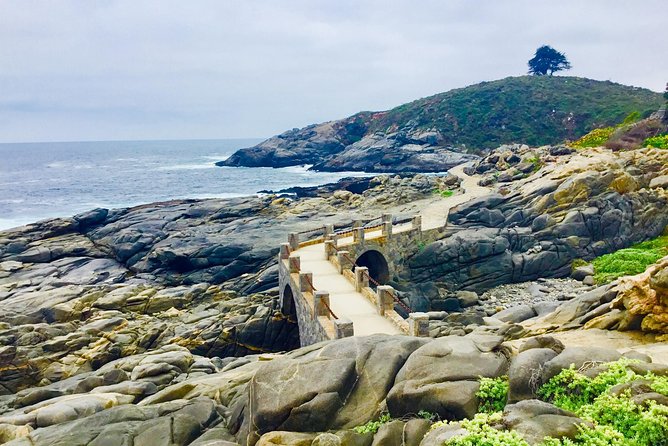 Fr STGO: WILD PENGUINS, SEALION, SANDBOARD, PARAGLIDING & PICNIC - From Santiago toward Valparaiso and Viña del Mar
