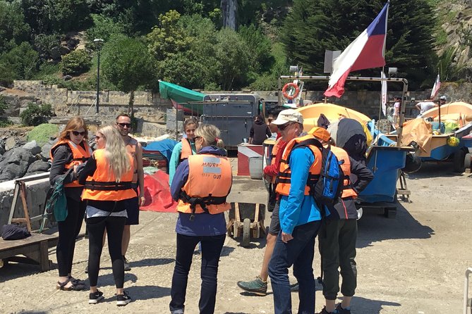 Fr VALPO: WILD PENGUINS, SEALION, SANDBOARD, PARAGLIDING & PICNIC - A full Pacific day from Valparaíso