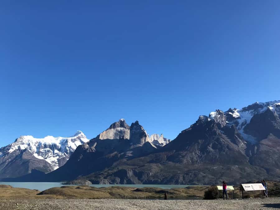 From El Calafate: Torres del Paine Full Day Tour - Who should book this tour?