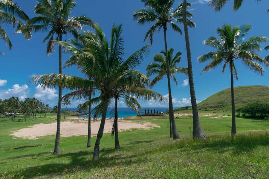From Hanga Roa: Easter Island Highlights 2-Day Tour - Why this two-day route works well on Rapa Nui