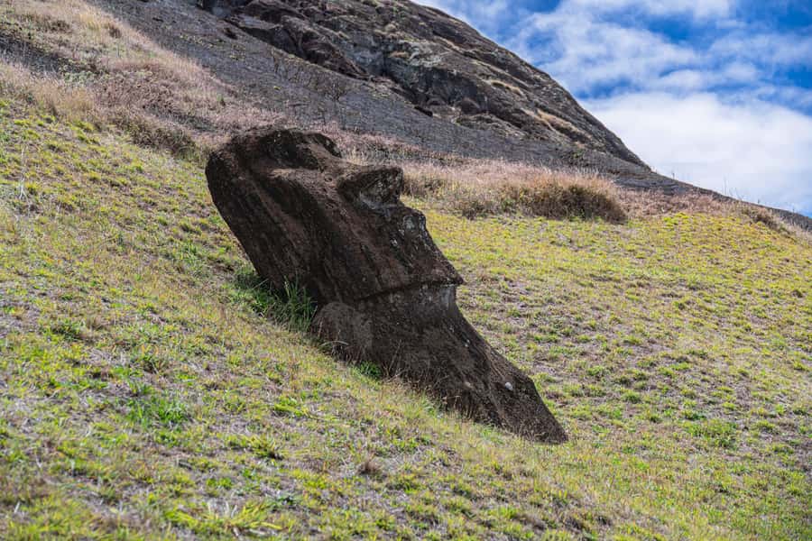From Hanga Roa: Rapa Nui Culture Sightseeing Tour - The essential Rapa Nui day, at a glance