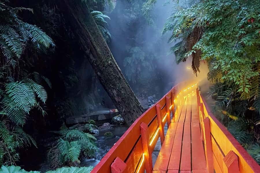 From Pucón: Geometric Hot Springs - Key points to know before you book
