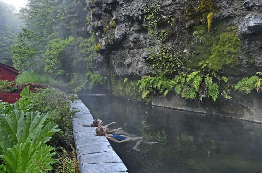 From Pucón: Geometric Hot Springs - Entering Villarrica National Park