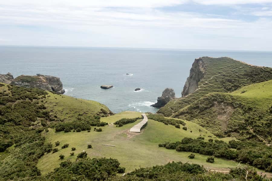 From Puerto Varas: Chiloe Island Full-day Tour - Dalcahue and the island craft tradition