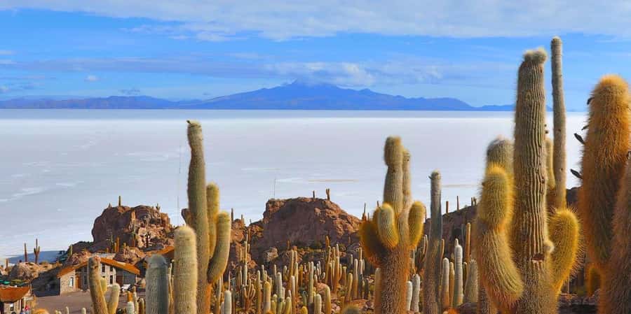 From San Pedro de Atacama: 3 days to Uyuni Salt Flat - Why this crossing is worth three long days