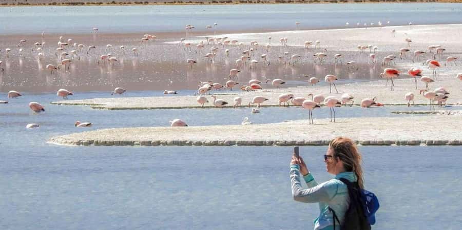 From San Pedro de Atacama: 3 days to Uyuni Salt Flat - Transport, meals, and sleeping arrangements