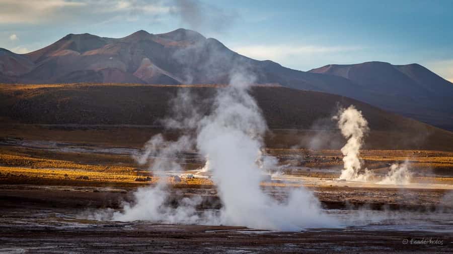 From San Pedro de Atacama: El Tatio Geyser Field & Wetlands - Key points to know before booking