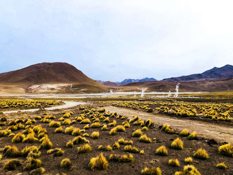 From San Pedro de Atacama: Geysers del Tatio Half-Day Tour - Machuca and its traditionally built homes