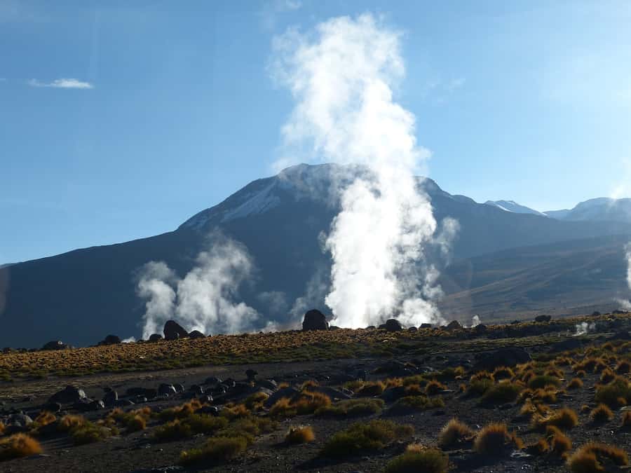 From San Pedro de Atacama: Geysers del Tatio Half-Day Tour - Who will enjoy this morning most