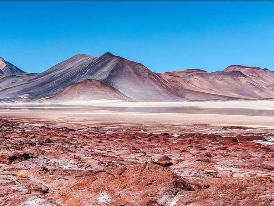 From San Pedro de Atacama: Lagoons and Piedras Reds - Why this 12-hour route earns its place in your Atacama plan
