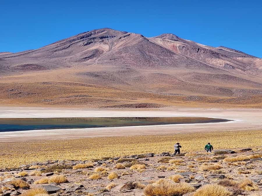 From San Pedro de Atacama: Lagoons and Piedras Reds - Toconao and the human side of the desert
