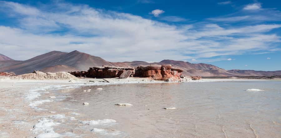 From San Pedro de Atacama: Lagoons and Piedras Reds - Chaxa Lagoon and the salt-flat wildlife