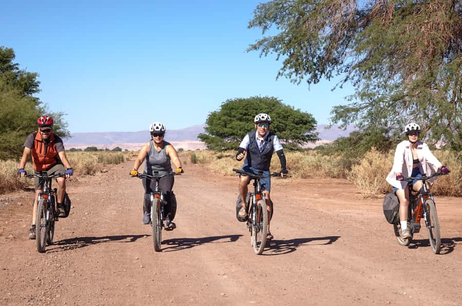 From San Pedro de Atacama: Laguna Cejar E-biking Adventure - Riding across the Atacama salt flats