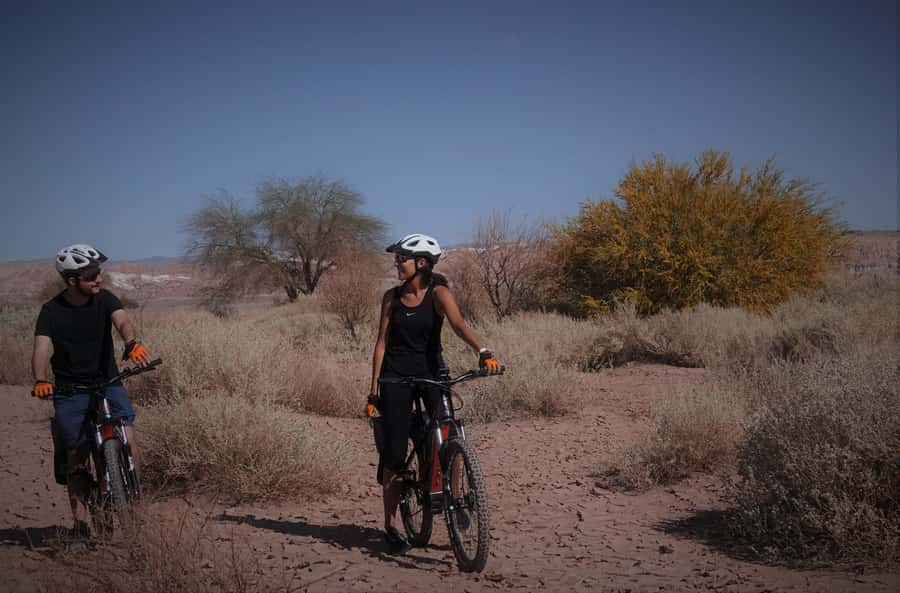 From San Pedro de Atacama: Laguna Cejar E-biking Adventure - Who will enjoy this e-bike outing most