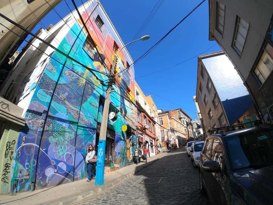 From Santiago: Highlights of Valparaiso and Viña del Mar - Lunch by the coast, with a budget warning