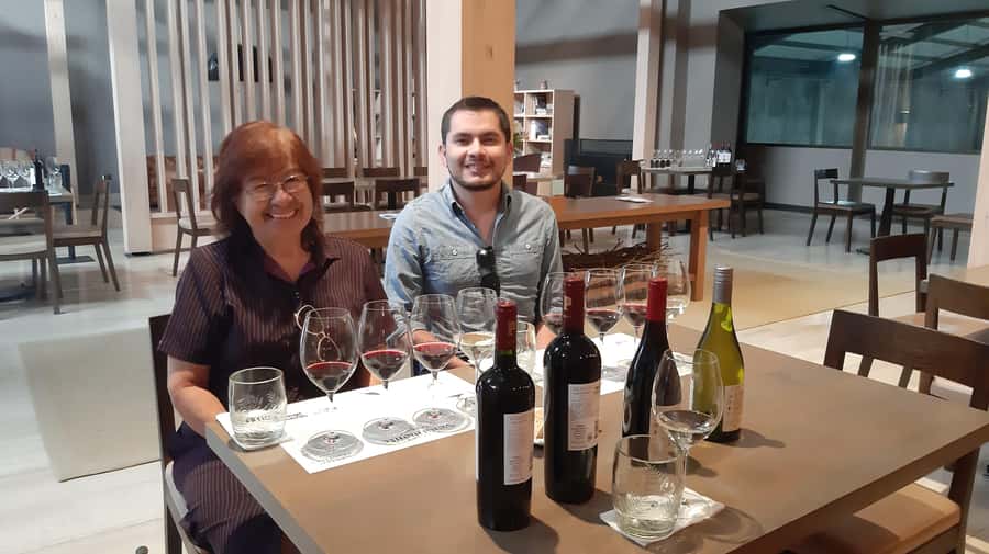 From Santiago: Isla Negra, Pablo Neruda Museum & Winery Tour - A family winery in the Maipo Valley