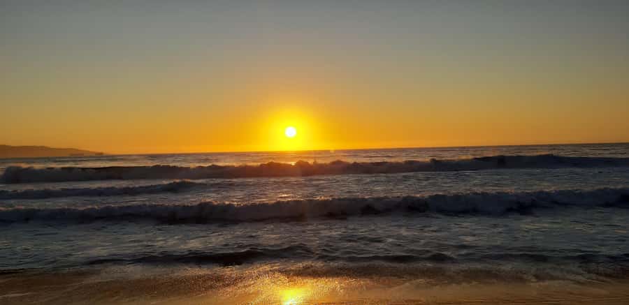 From Santiago: Isla Negra, Pablo Neruda Museum & Winery Tour - Practical tips for making the day easier
