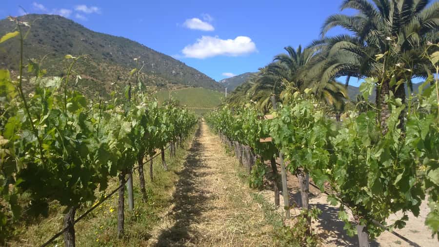 From Santiago: Isla Negra, Pablo Neruda Museum & Winery Tour - The morning route from Santiago to Isla Negra