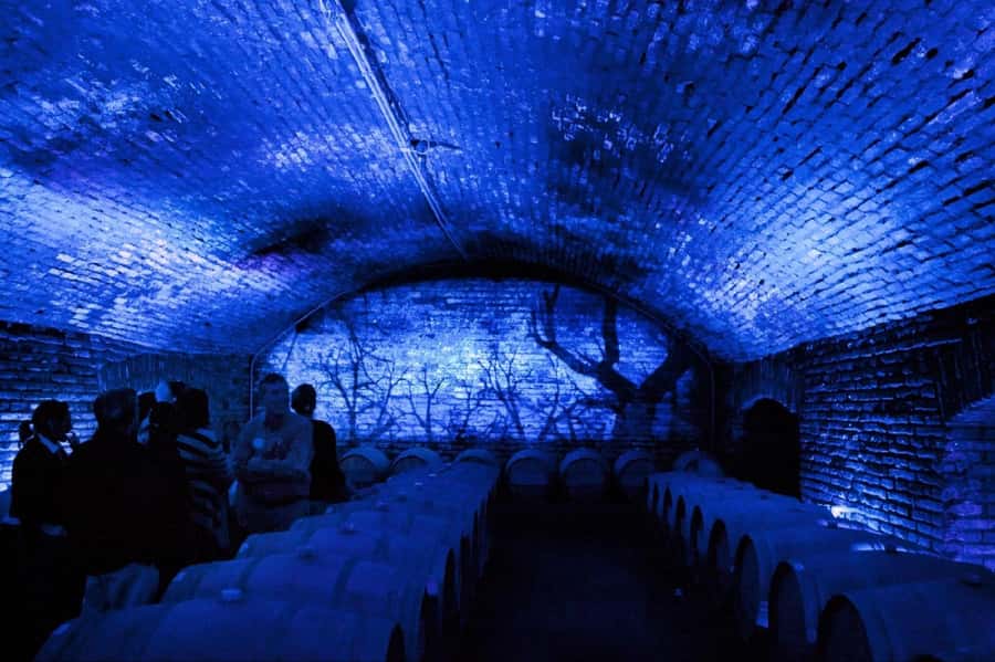 From Santiago: Maipo Valley Wine Tour - Tasting Chilean wines without driving