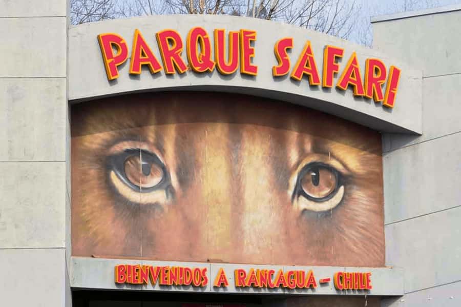 From Santiago: Safari Park, a wild experience - What kind of safari is this?