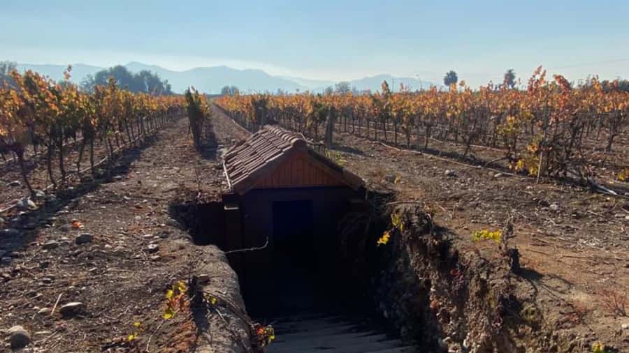 From Santiago: Undurraga Winery Tour with Tasting - Why Undurraga makes a good first winery visit
