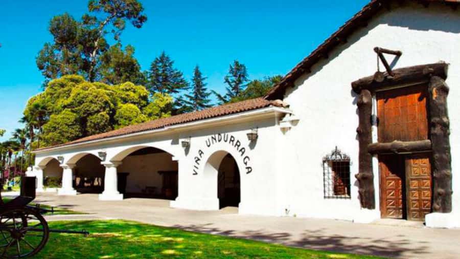 From Santiago: Undurraga Winery Tour with Tasting - Walking through the vineyard and Aliwen corner