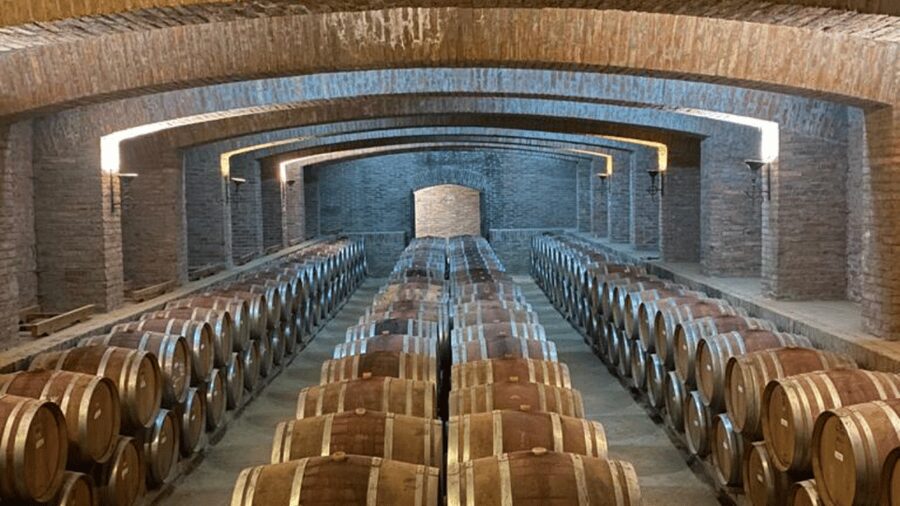 From Santiago: Undurraga Winery Tour with Tasting - Inside cellars with more than 130 years of winemaking