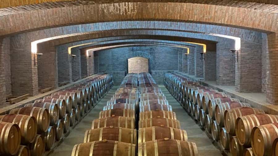 From Santiago: Undurraga Winery Tour with Tasting - From Santiago to the Santa Ana estate