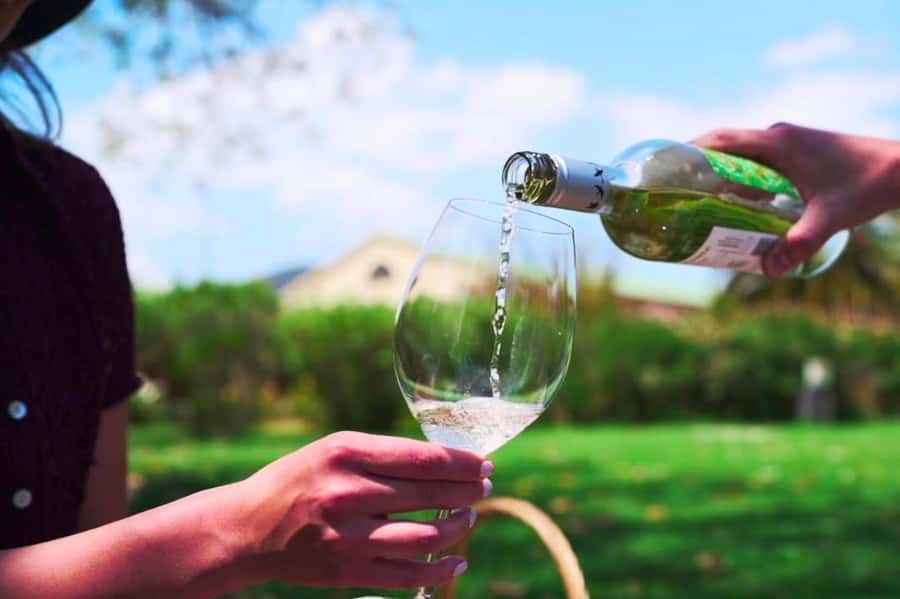 From Santiago: Vineyard, Valparaíso, and Viña del Mar Tour - Casablanca Valley and the first glass of Chilean wine