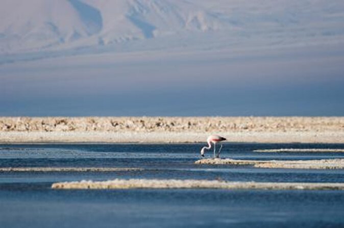 Full Atacama - SORBAC (private groups) - At a glance: what makes this six-day route useful