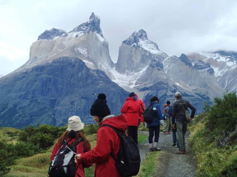 Full-day excursion to Torres del Paine National Park - Cerro Almirante Nieto, Cuernos, and Laguna Amarga