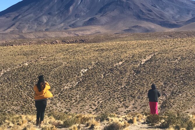 Full Day Tour to Ruta de los Salares - Salar de Pujsa, where open space does the work