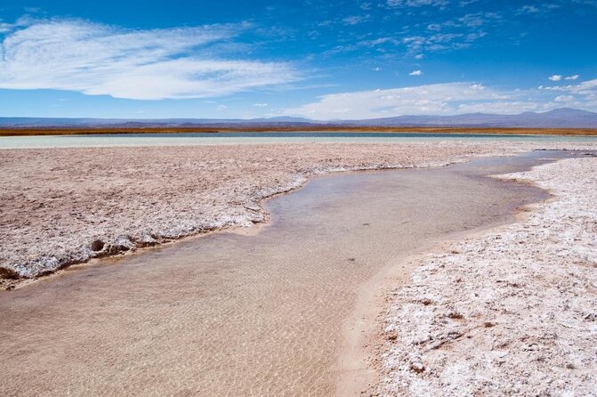 Half-Day Tour to Laguna Cejar - Key points to know before you book