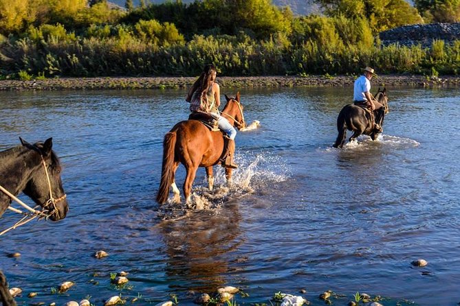 Horseback Private Wine Tour and Country Grill from Santiago - Choosing a horse and learning the basics