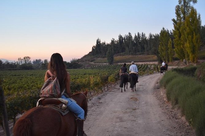 Horseback Private Wine Tour and Country Grill from Santiago - Breakfast with a local family or artist