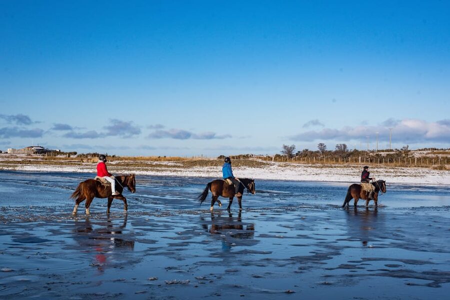 Horseback Riding near Strait of Magellan - Who will enjoy this ride most?