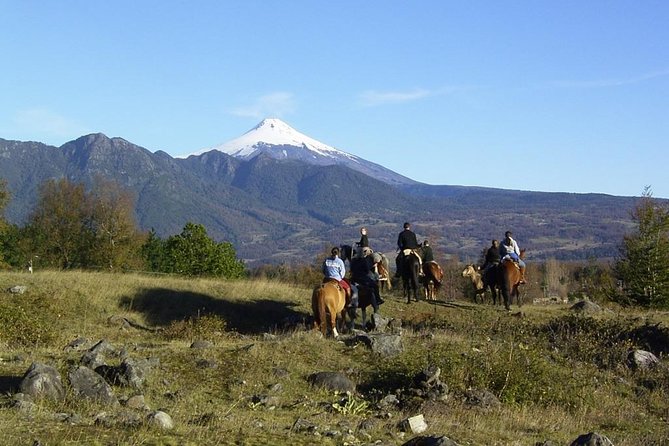 Horseback Trailride Excursion - Key points to know before you ride