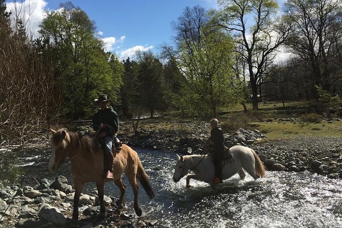 Horseback Trailride Excursion - The first minutes: learning your horse