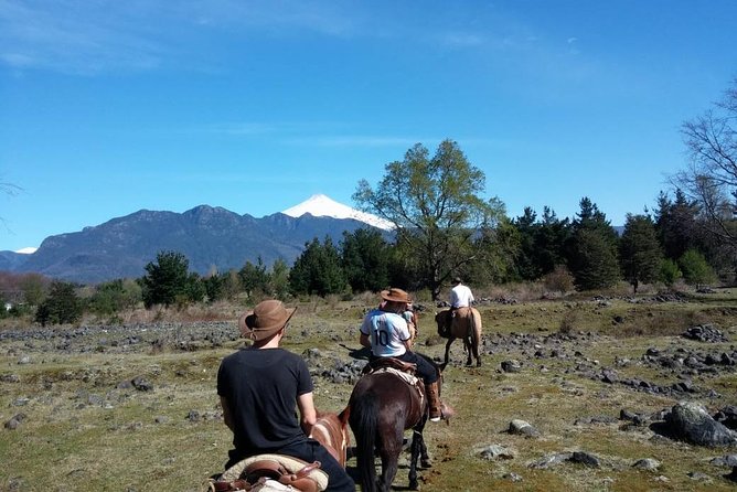 Horseback Trailride Excursion - When the pace changes from walking to galloping