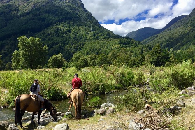 Horseback Trailride Excursion - Pastures and single trails around Carhuello
