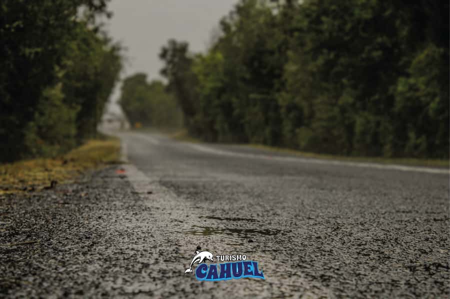 Inner Coast of Chiloé: Road and Sea. - Villages along the inner coast