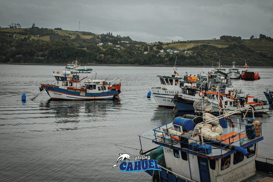 Inner Coast of Chiloé: Road and Sea. - What the private SUV changes