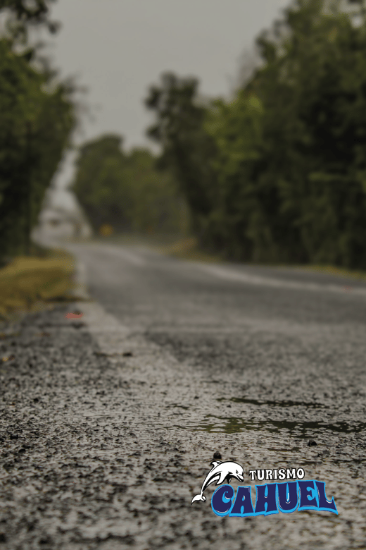 Inner Coast of Chiloé: Road and Sea. - What the $106 price covers