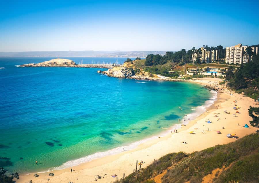 ISLA NEGRA AND ALGARROBO WITH VINICOLA UNDURRAGA - TOUR : CHILE - From Santiago to the Pacific coast