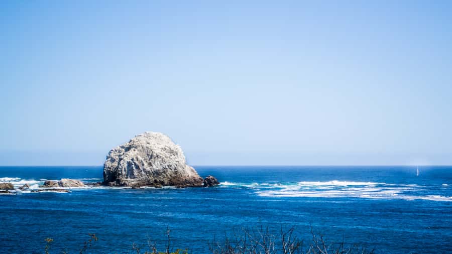 ISLA NEGRA AND ALGARROBO WITH VINICOLA UNDURRAGA - TOUR : CHILE - Is Isla Negra, Algarrobo, and Undurraga worth booking?